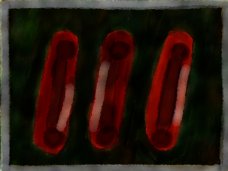 embryos